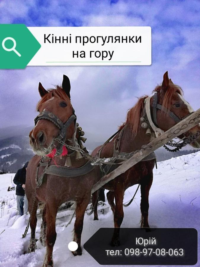 "Ізківський Затишок" Село Ізки Hotel Kültér fotó